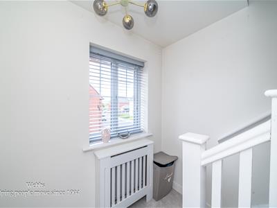 Picture 21